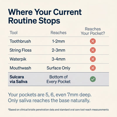 Oral Probiotic Chewable