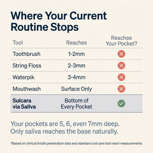 Oral Probiotic Chewable